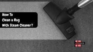 clean a rug with steam cleaner in Overland Park KS.