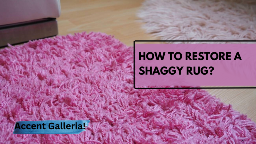 Restoring shaggy rug services in Kansan City KS