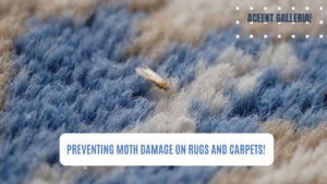 Moth Damage on Rugs and Carpets