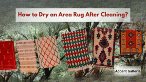 Drying area rug services in Lawrence KS